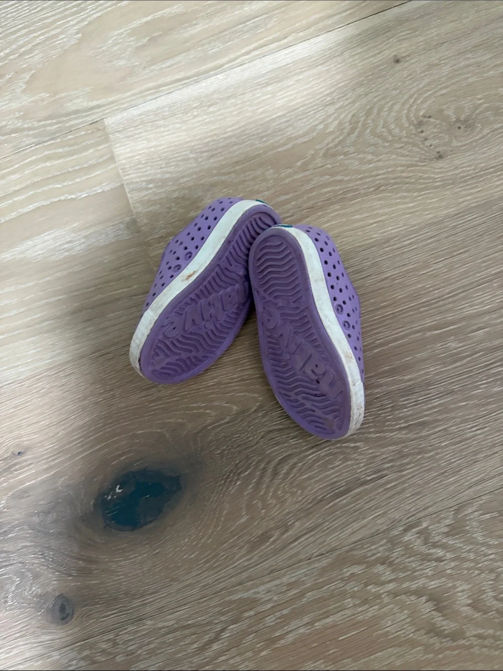 Native Kids Water Shoes in Purple with White Toe Caps